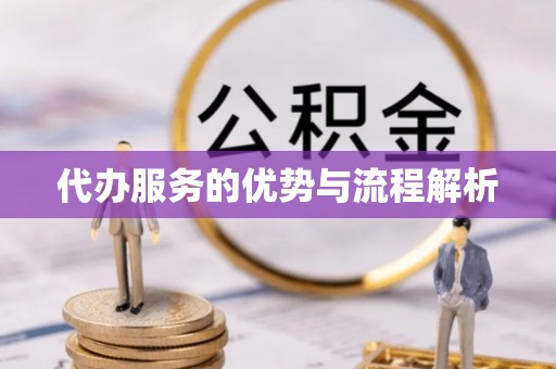 七星代办服务的优势与流程解析
