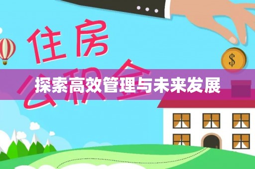 七星探索高效管理与未来发展