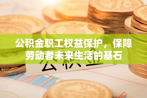 七星公积金职工权益保护，保障劳动者未来生活的基石