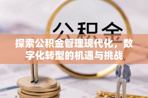七星探索公积金管理现代化，数字化转型的机遇与挑战