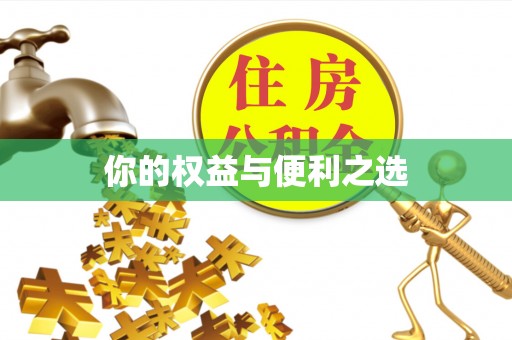 七星你的权益与便利之选