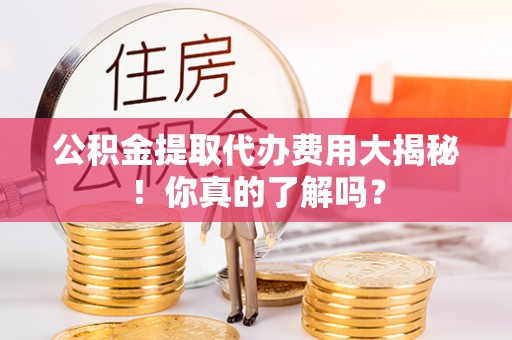 七星公积金提取代办费用大揭秘！你真的了解吗？