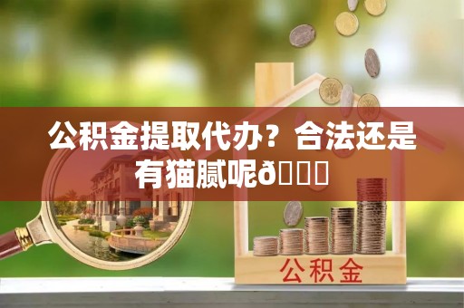七星公积金提取代办？合法还是有猫腻呢😏