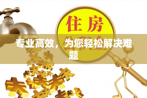 七星专业高效，为您轻松解决难题