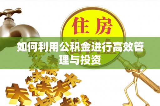 七星如何利用公积金进行高效管理与投资