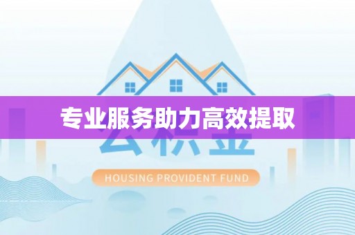 七星专业服务助力高效提取